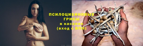 apvp Горно-Алтайск