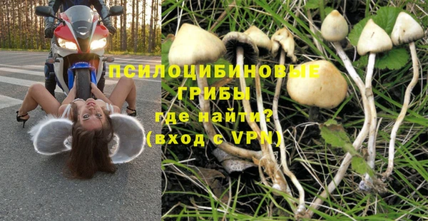MESCALINE Горняк